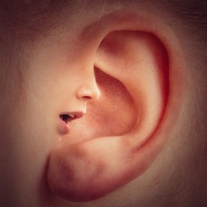 fülkorrekció